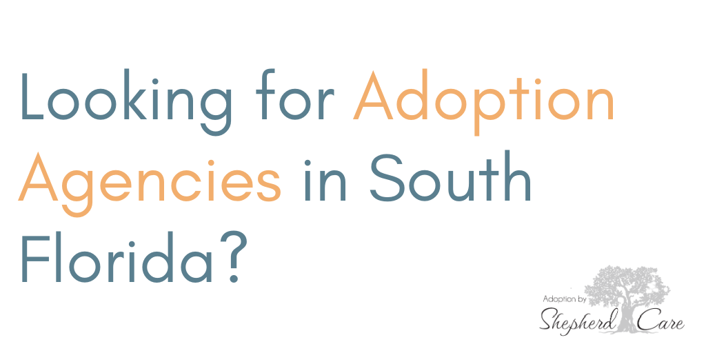 adoption agencies south florida