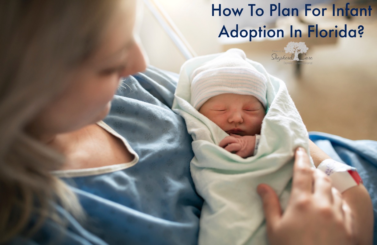 Plan for infant adoption in Florida