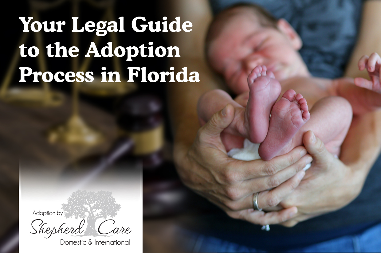 Adoption Process In Florida